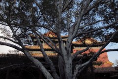 IMG_2397