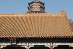 IMG_2469