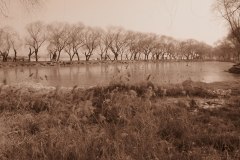 IMG_2499
