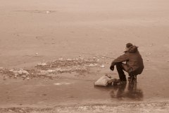 IMG_2528