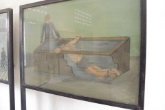 IMG_5255