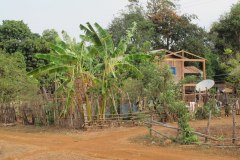 IMG_6357