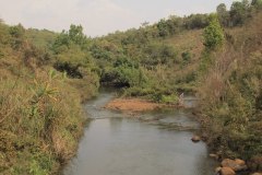 IMG_6539