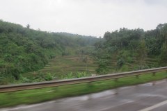 IMG_0010