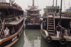 IMG_3918