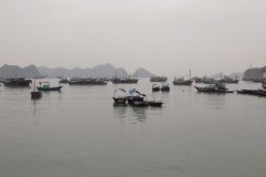 IMG_3949