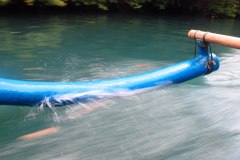 IMG_0401