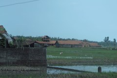 IMG_0544