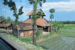 IMG_0550