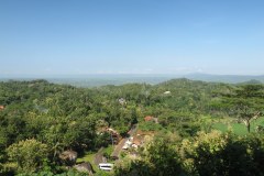 IMG_0572