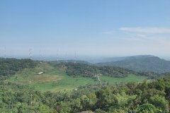 IMG_0594