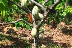 IMG_0651