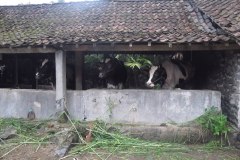 IMG_0897