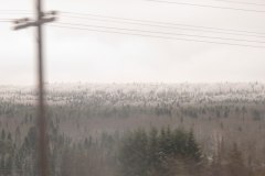 IMG_0665