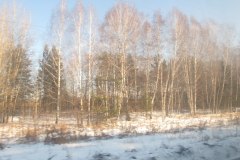 IMG_0783