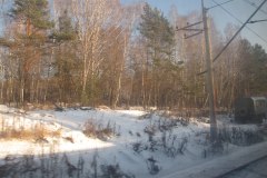 IMG_0784