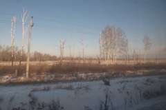IMG_0786