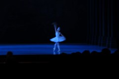IMG_0904