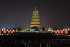 IMG_2964