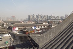 IMG_2981