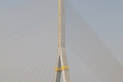 1_IMG_7856