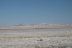 IMG_1494