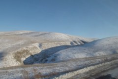 IMG_1495