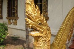 IMG_7184