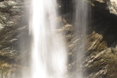 IMG_7303