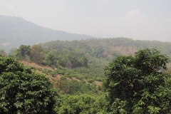 IMG_7556