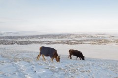 IMG_1943