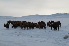 IMG_2072