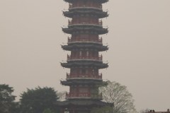 IMG_3221