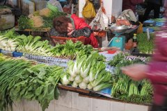 IMG_3516