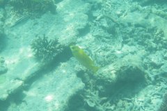 IMG_8895