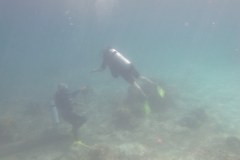 IMG_8939