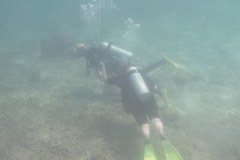 IMG_8944