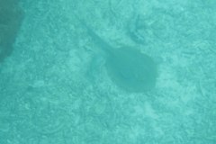 IMG_9058