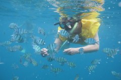 IMG_9171