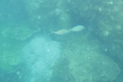 IMG_9192