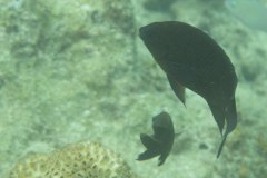 IMG_9227