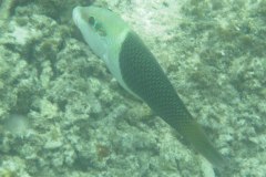 IMG_9270
