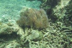 IMG_9331