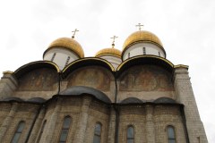 IMG_0558