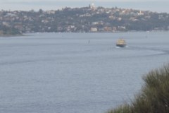 IMG_3278