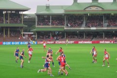 IMG_3374