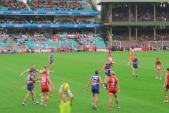 IMG_3375