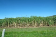 IMG_3614