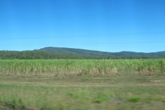 IMG_3616