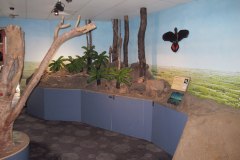 IMG_1851